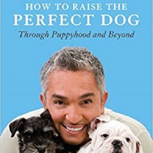 How to Raise the Perfect Dog: Through Puppyhood and Beyond